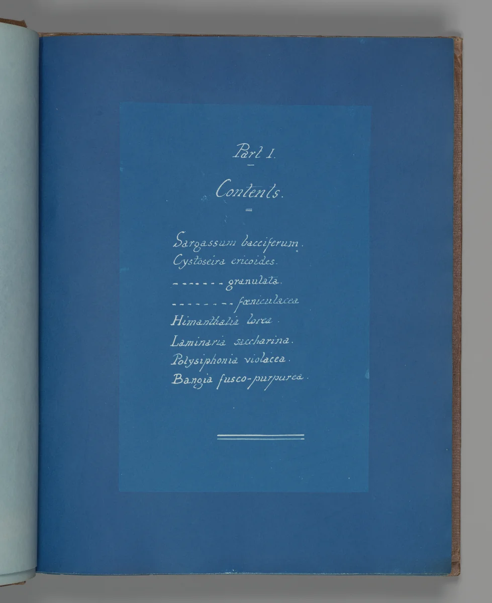 Part I Contents by Anna Atkins, photograph, 1851-1855