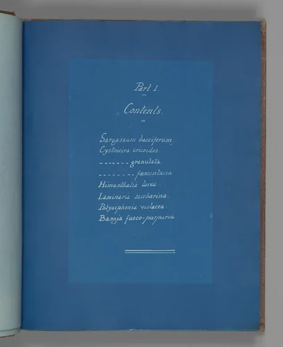 Part I Contents by Anna Atkins, photograph, 1851-1855