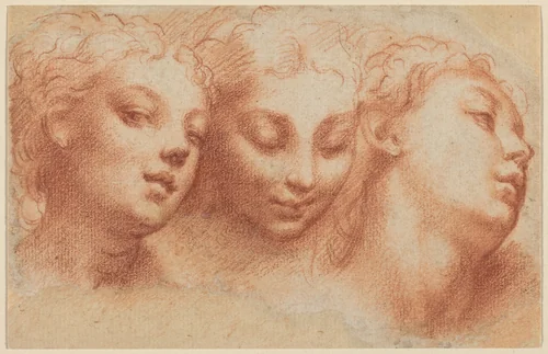 Three Feminine Heads by Parmigianino, drawing, 1522-1524
