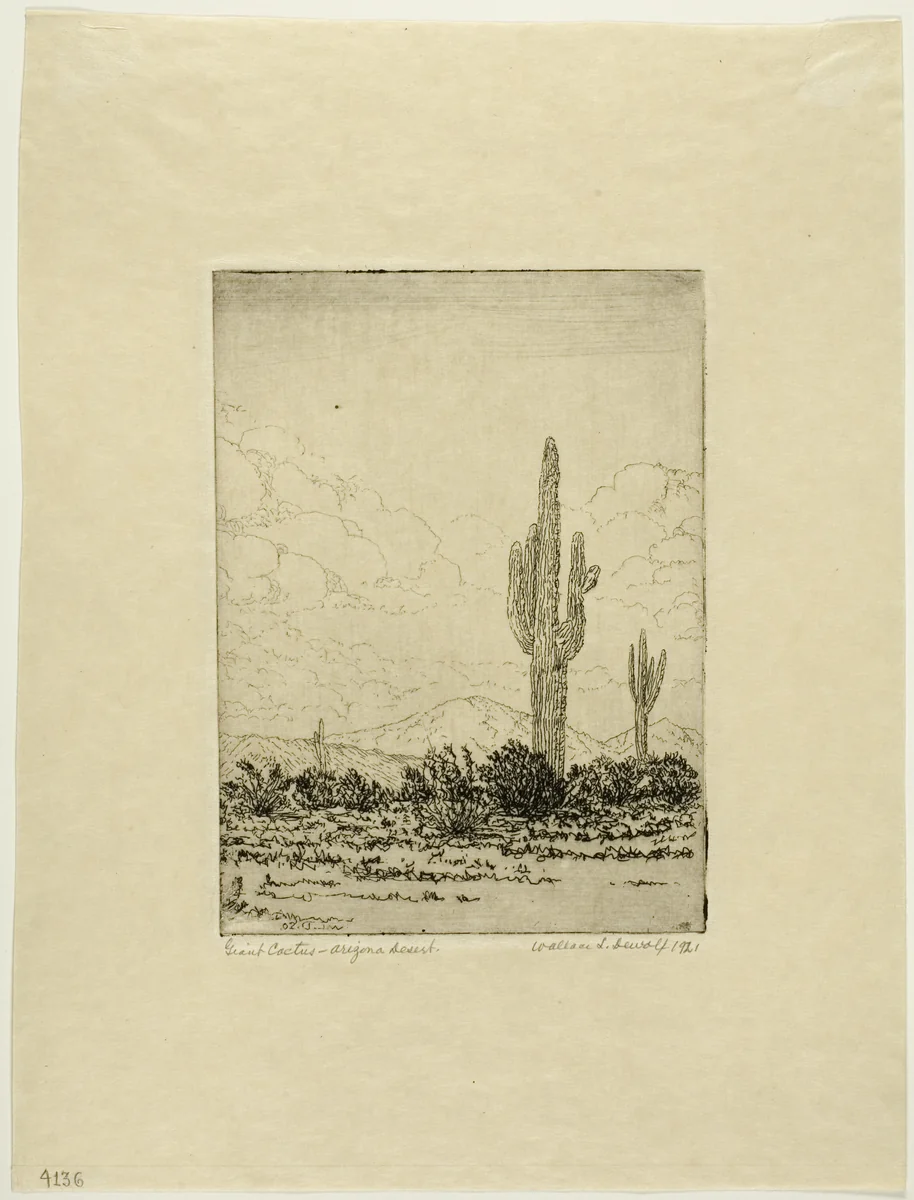 Giant Cactus, Arizona Desert by Wallace DeWolf, print, 1920