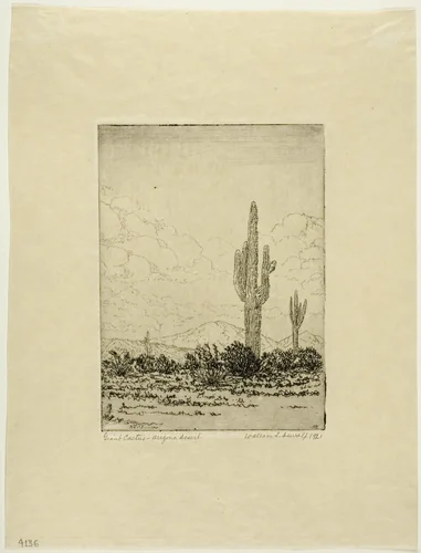 Giant Cactus, Arizona Desert by Wallace DeWolf, print, 1920