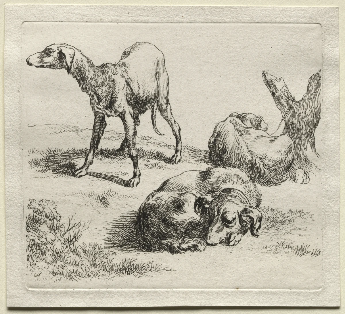 Animalia: Three Hunting Dogs by Nicolaes Berchem, print, 1635-1683