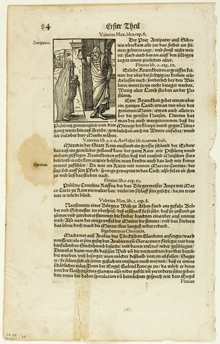 Illustration from Plinius' Naturgeschichte by J. Heyden, plate 49 from Woodcuts from Books of the XVI Century by Jost Amman, print, 1571