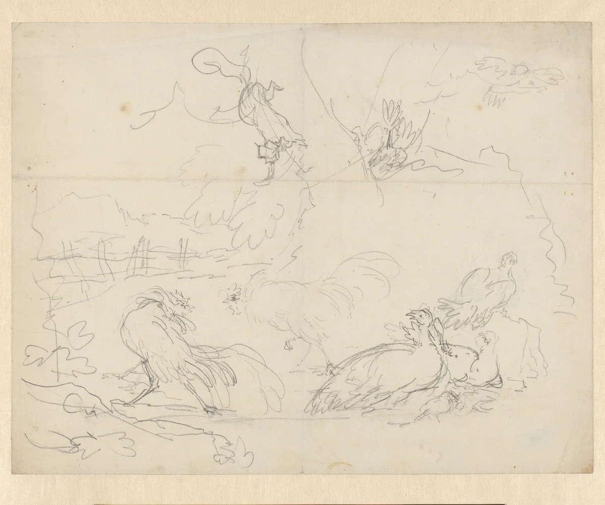 Studies van vechtende hanen en kippen by Aert Schouman, drawing, 1720-1792