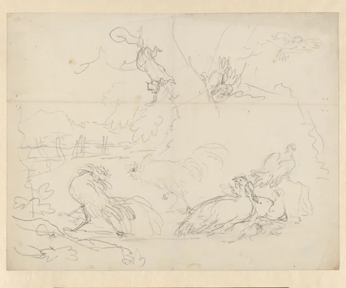 Studies van vechtende hanen en kippen by Aert Schouman, drawing, 1720-1792