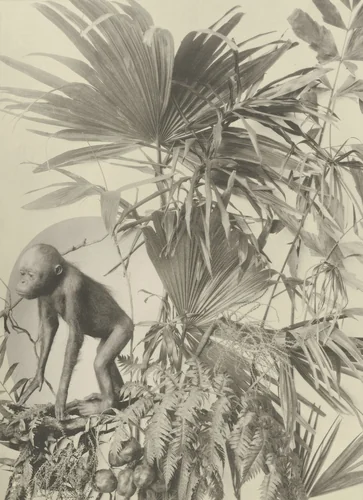 Page from Festons und Dekorative Gruppen by Unidentified Photographer, photograph, 1893