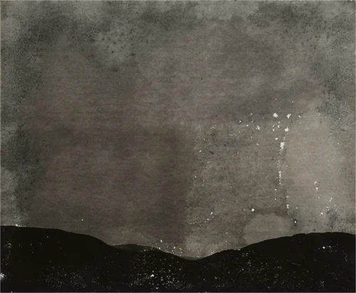 Eastman Kodak Azo Hard C Grade, expired November 1917, processed 2010 (#2) by Alison Rossiter, photograph, 2010