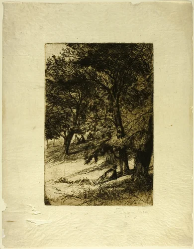 Sub Tegmine... by Francis Seymour-Haden, print, 1859