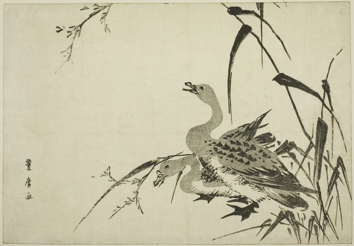 Wild Geese and Reeds by Utagawa Toyohiro (歌川豊広), print, 1805-1815