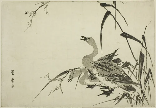 Wild Geese and Reeds by Utagawa Toyohiro (歌川豊広), print, 1805-1815
