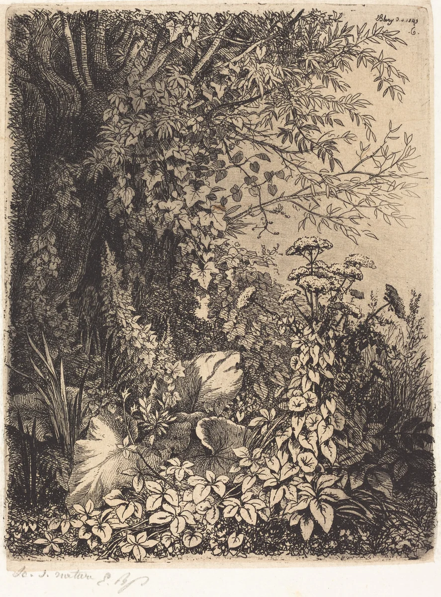 La bardane au saule (Burdock with Willow) by Eugène Bléry, portfolio, 1849