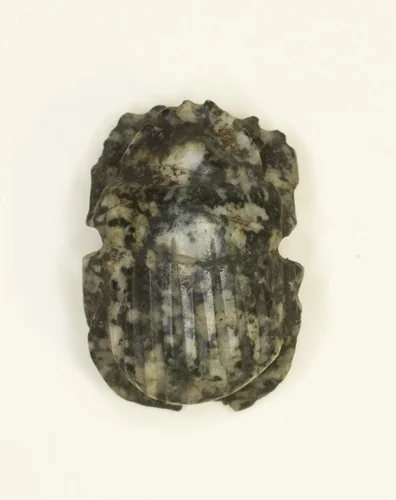 Scarab by Egyptian, other, -304--30