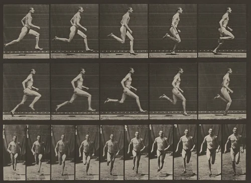 Plate Number 60. Running at a half-mile gait by Eadweard Muybridge, photograph, 1887