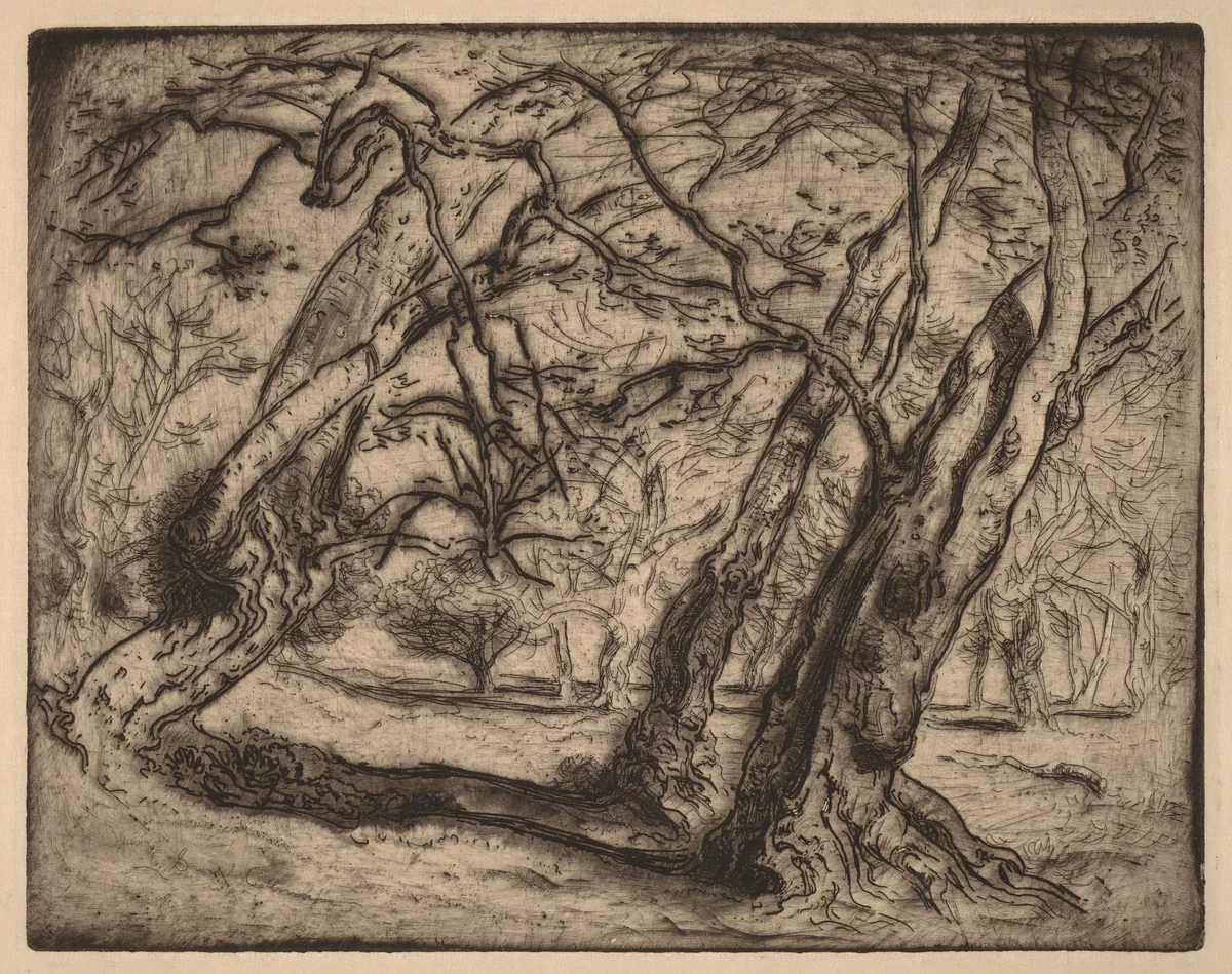Untitled (Wooded Landscape) by Samuel Colman, print, 1880