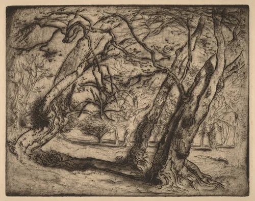 Untitled (Wooded Landscape) by Samuel Colman, print, 1880