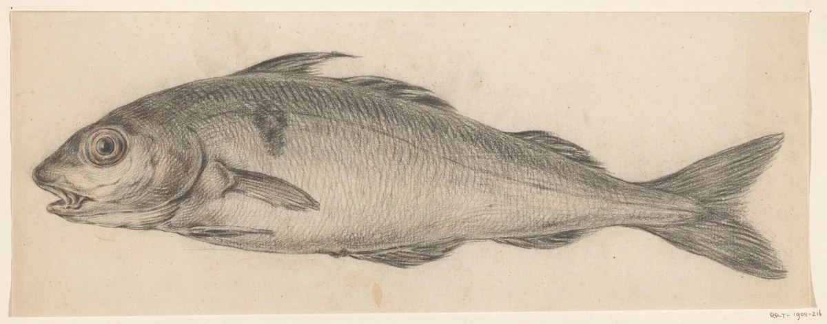 Vis, naar links by Jean Bernard, drawing, 1775-1833