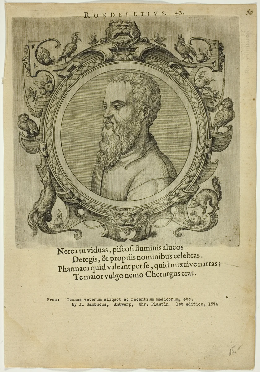 Portrait of Rondeletius by Unknown Artist, print, 1574
