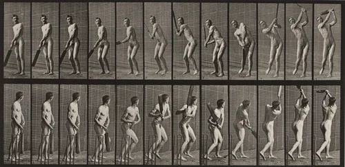 Plate Number 291. Cricket, batting and drive by Eadweard Muybridge, photograph, 1887