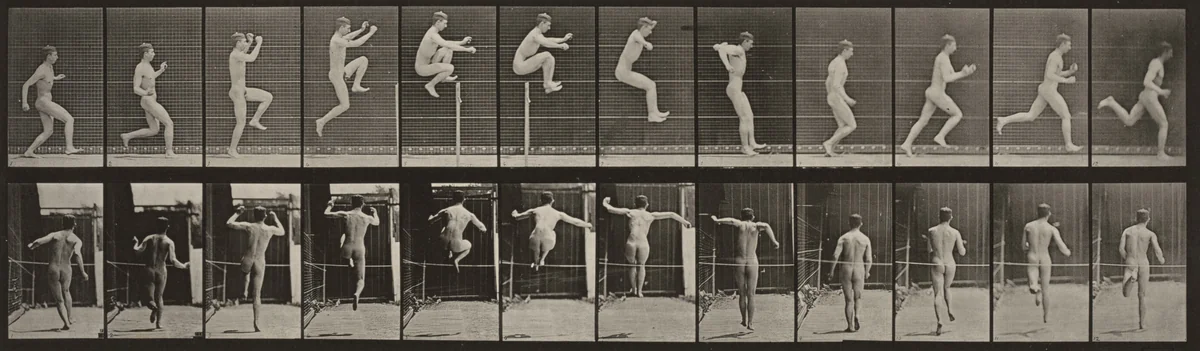 Plate Number 154. Jumping, running straight high jump by Eadweard Muybridge, photograph, 1887