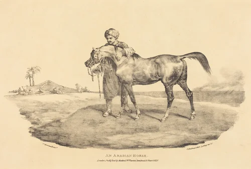 An Arabian Horse by Théodore Gericault, print, 1821