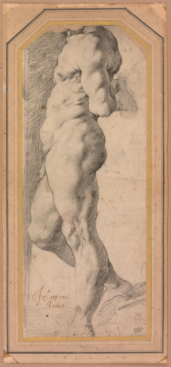 Study of a Standing Male Nude by Giuseppe Cesari, drawing, 1595-1596