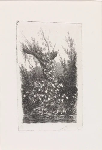 Begroeide knotwilg aan een waterkant by Jacob Jan van der Maaten, print, 1830-1879