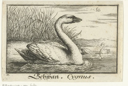 Landschap met zwaan by anonymous, print, 1659-1741