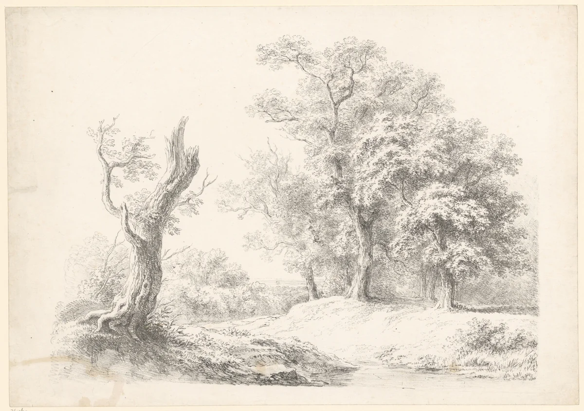Boslandschap met links een afgebroken boom by Joseph Mössmer, print, 1818-1821