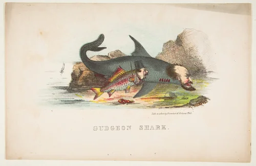 Gudgeon and Shark, from "The Comic Natural History of the Human Race" by Henry Louis Stephens, print, 1851