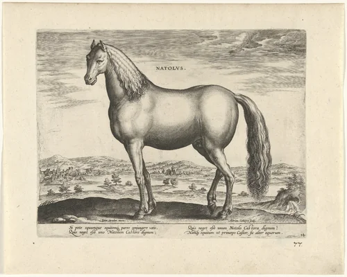 Hengst uit Anatolië by Unknown, print, 1583-1587
