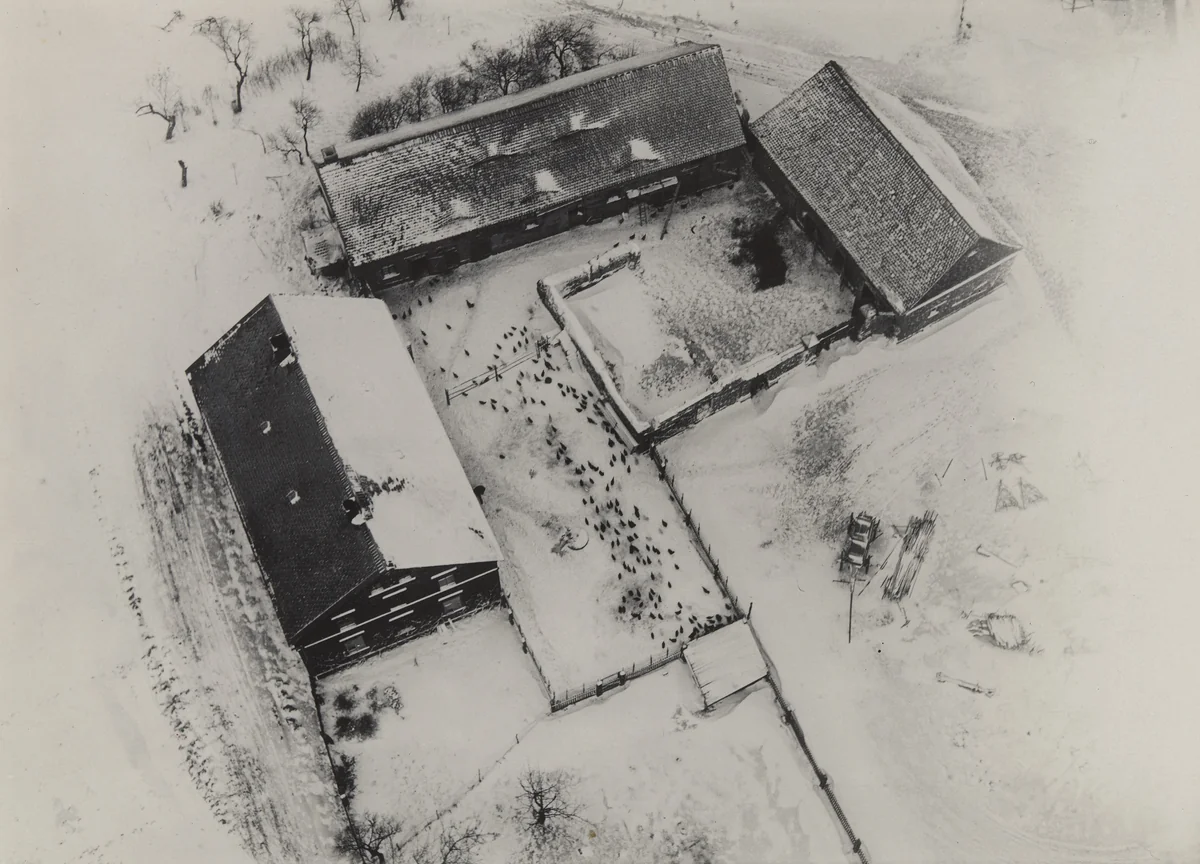 Chicken Farm in Snow by Robert Petschow, photograph, 1930