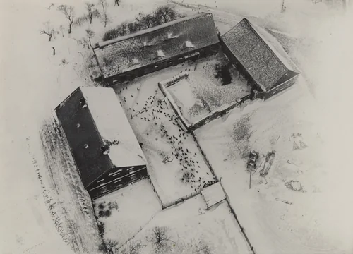 Chicken Farm in Snow by Robert Petschow, photograph, 1930
