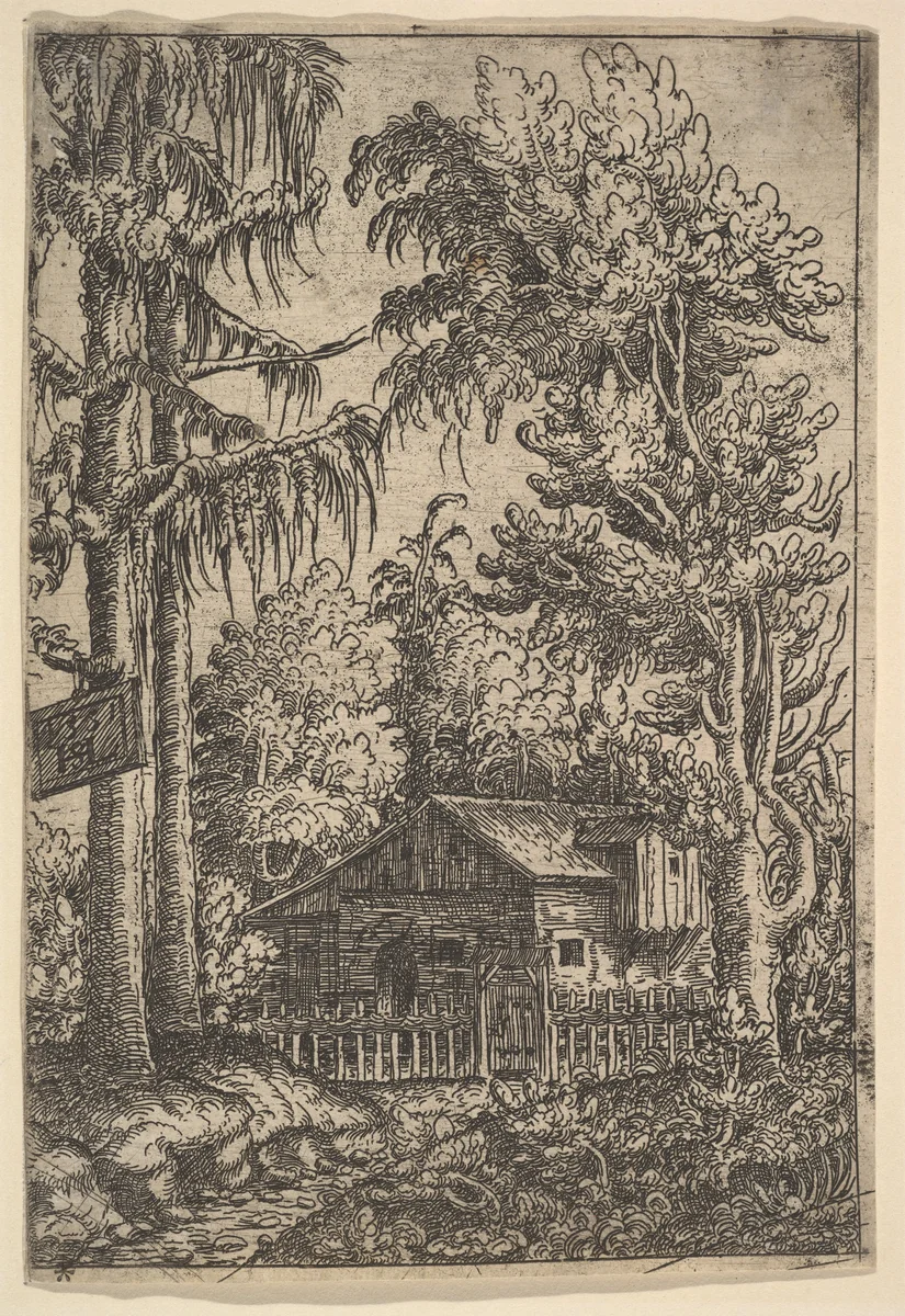 Cabin Among Trees by Hanns Lautensack, print, 1551