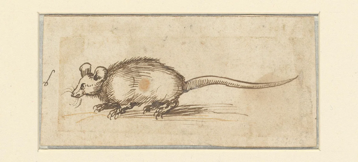 Muis by Unknown, drawing, 1481-1528