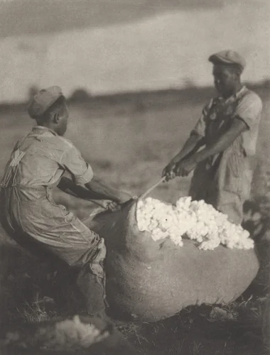Untitled by Doris Ulmann, photograph, 1929