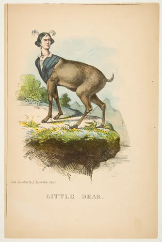 Little Dear, from "The Comic Natural History of the Human Race" by Henry Louis Stephens, print, 1851