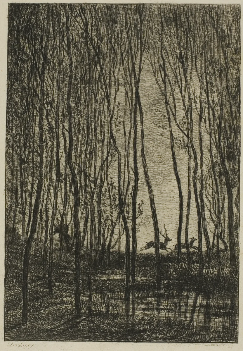 Stags in the Woods by Charles-François Daubigny, print, 1850