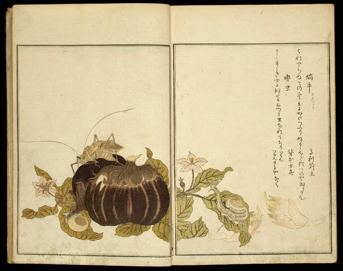Picture Book: Selected Insects (Ehon mushi erabi) by Kitagawa Utamaro (喜多川歌麿), print, 1788