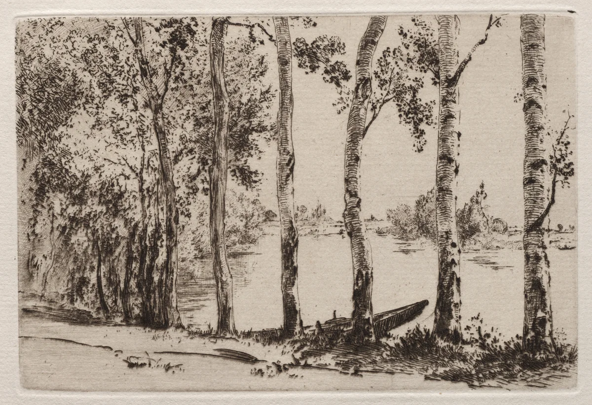 Aspens on the Bank of the Seine by Félix Bracquemond, print, 1884