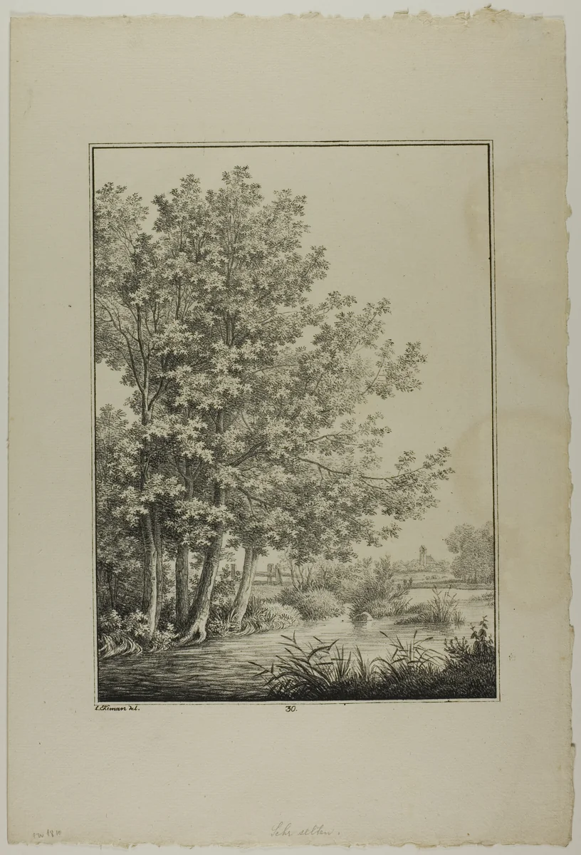 Plate 30 from Blatt Baum und Landschafts Studien by Lorenz Ekemann Alesson, print, 1805-1815