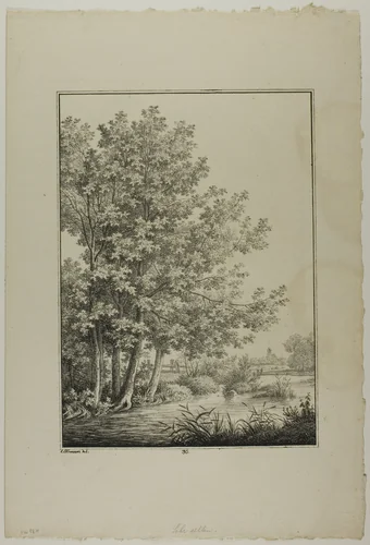 Plate 30 from Blatt Baum und Landschafts Studien by Lorenz Ekemann Alesson, print, 1805-1815