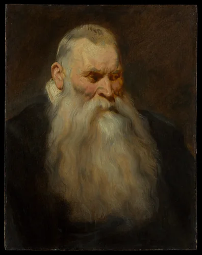 Study Head of an Old Man with a White Beard by Anthony van Dyck, painting, 1617-1620