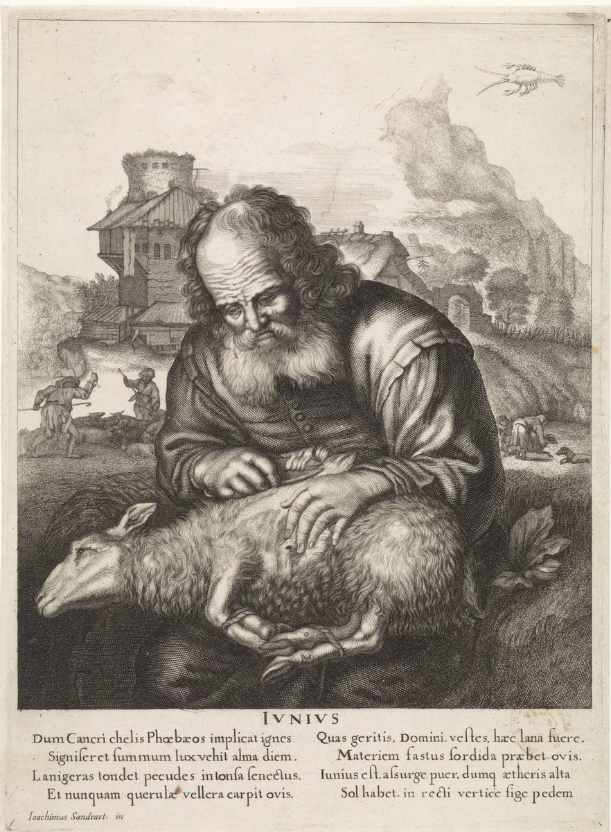 Juni: Een herder scheert een schaap by anonymous, print, 1645-1695
