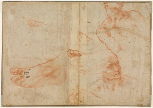 Figure Studies for the Sistine Ceiling (verso) by Michelangelo Buonarroti, drawing, 1510-1511