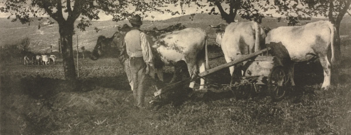 Camera Work: Ploughing Team by J. Craig Annan, book, 1907