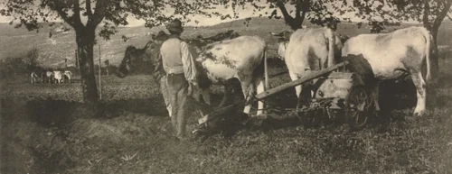 Camera Work: Ploughing Team by J. Craig Annan, book, 1907