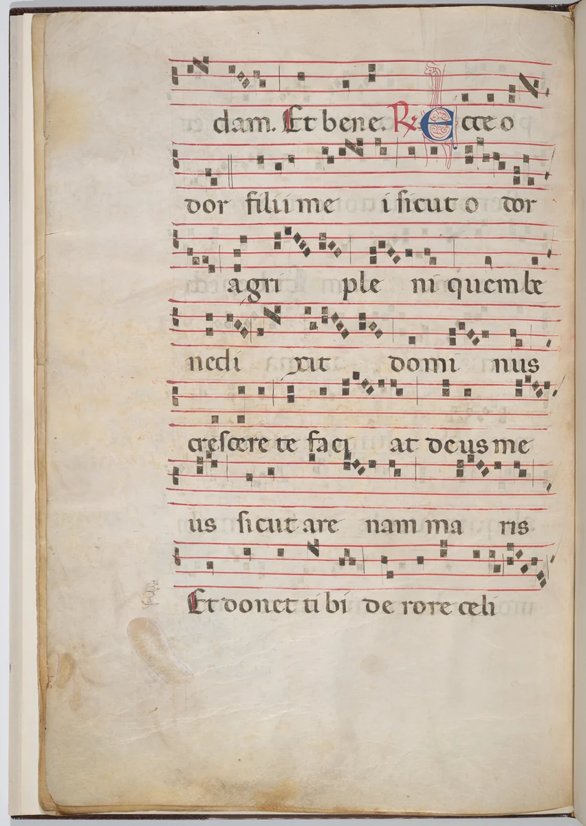 Leaf 8 from an antiphonal fragment (verso) by Italian 13th Century, drawing, 1270-1280