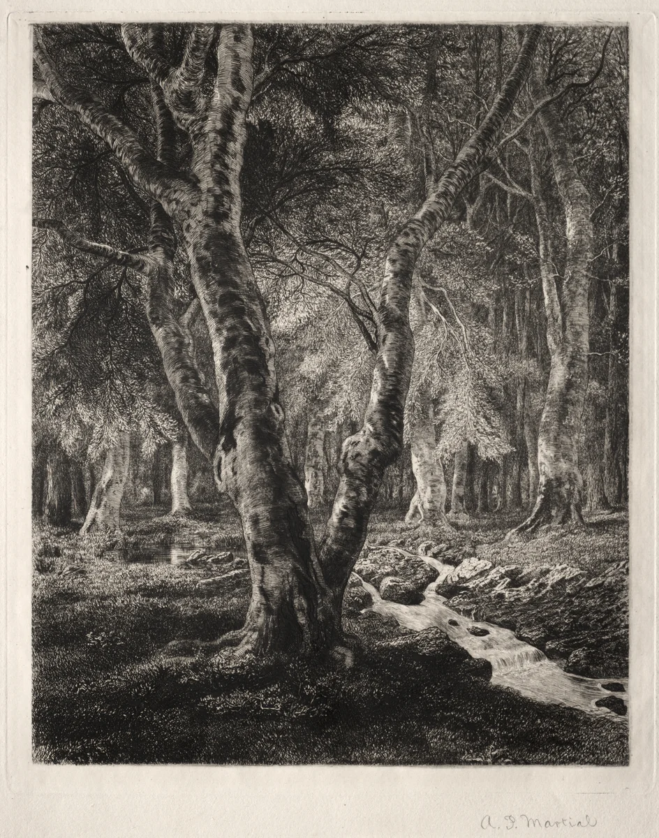 Forest of Pierrefonds by Adolphe Potémont, print, 1874