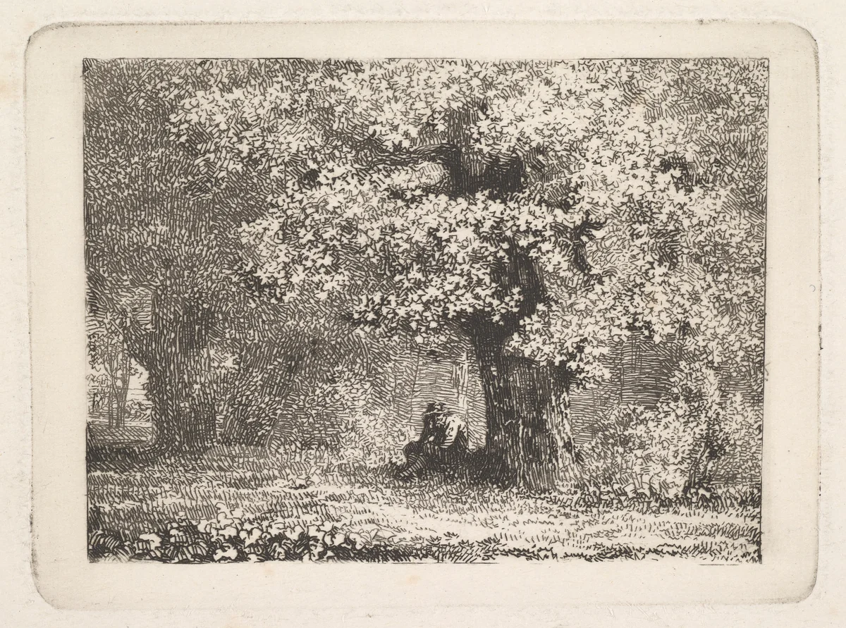 A Man Sitting under a Tree in Bloom by Johann Christoph Erhard, print, 1800-1822