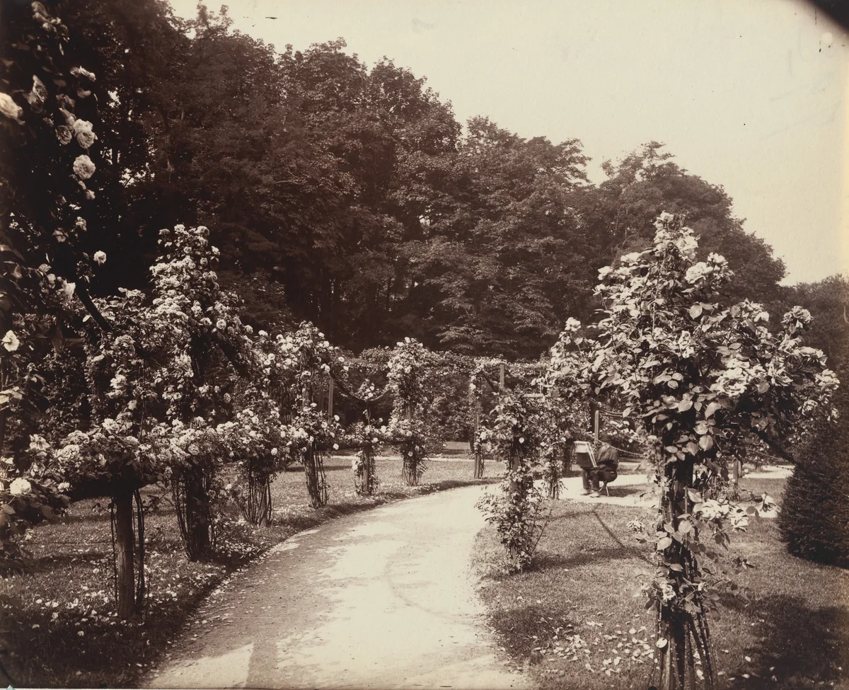 Bagatelle by Eugène Atget, photograph, 1915